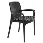 Supreme - Texas Deluxe Black Egg - Plastic Chair | H:870 x W:580 x D:650mm | 1 Year Warranty