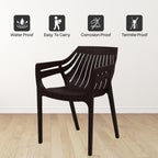 Supreme - Spectrum Globus Brown - Plastic Chair | H:825 x W:565 x D:540mm | 1 Year Warranty