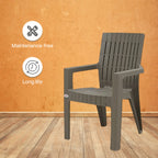 Supreme - Olympia Champange - Plastic Chair | H:820 x W:560 x D:540mm | 1 Year Warranty